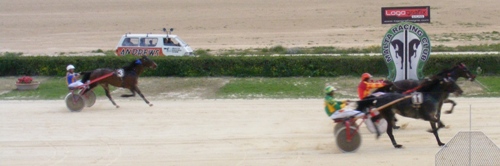 Race 7 confirmed result