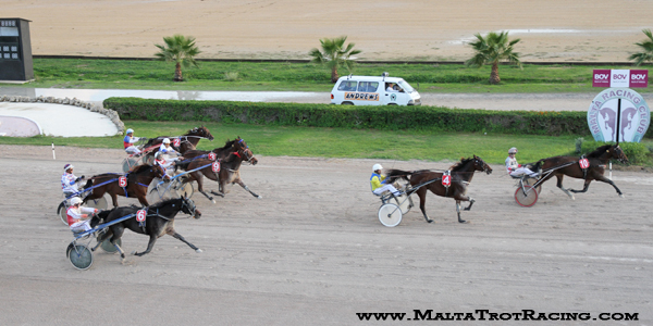 Race 8 confirmed result