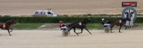 Race 8 confirmed result