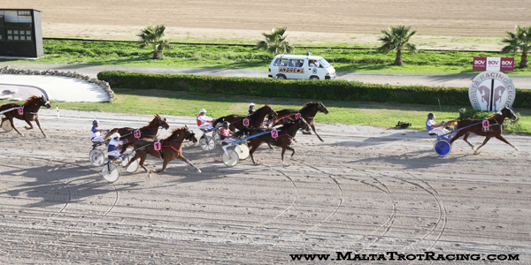 Race 5 confirmed result