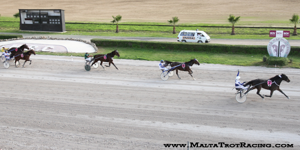 Race 5 confirmed result