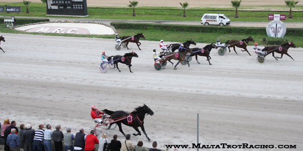 Race 5 confirmed result
