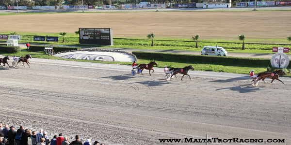 Race 5 confirmed result