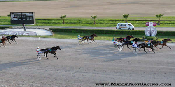 Race 6 confirmed result