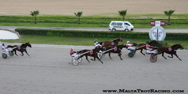 Race 5 confirmed result
