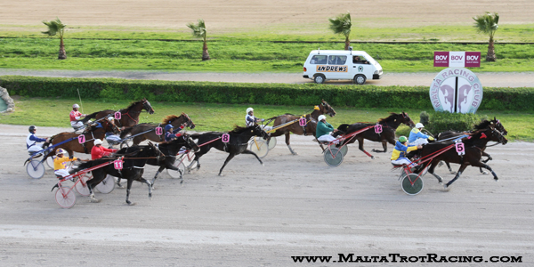 Race 5 confirmed result