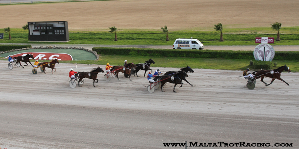 Race 7 confirmed result