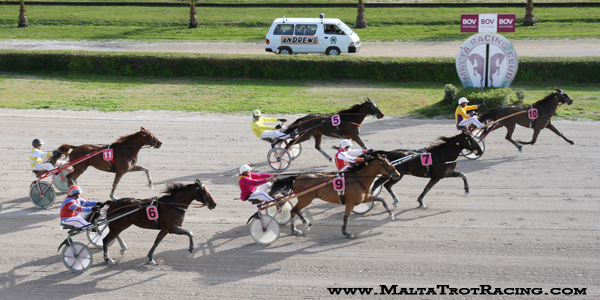 Race 5 confirmed result