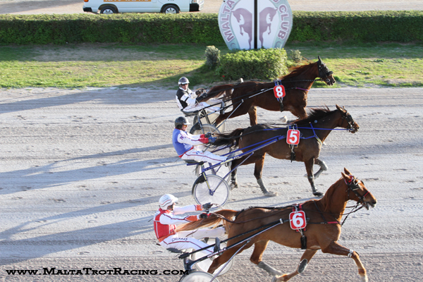 Race 8 confirmed result