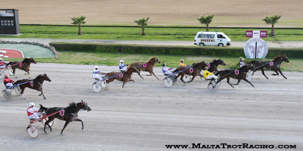 Race 5 confirmed result