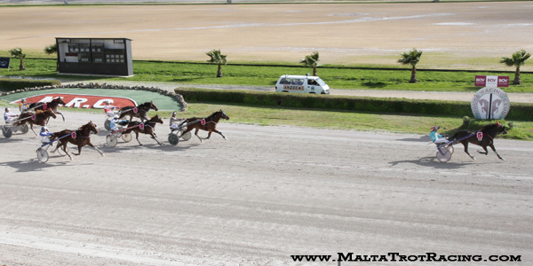 Race 5 confirmed result