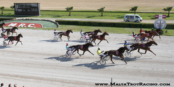 Race 5 confirmed result