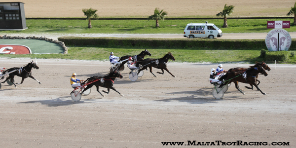 Race 7 confirmed result