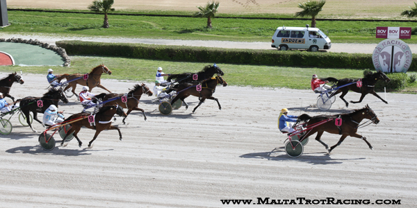 Race 5 confirmed result