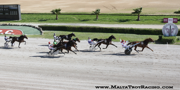 Race 7 confirmed result