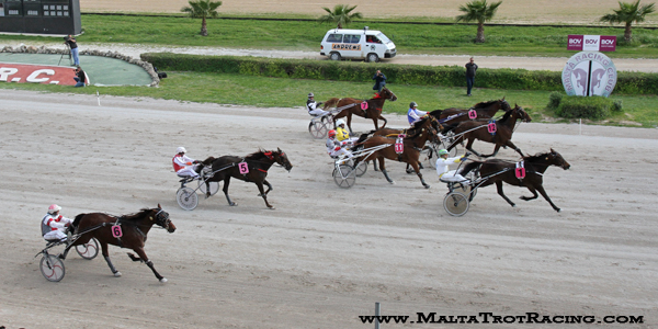 Race 5 confirmed result