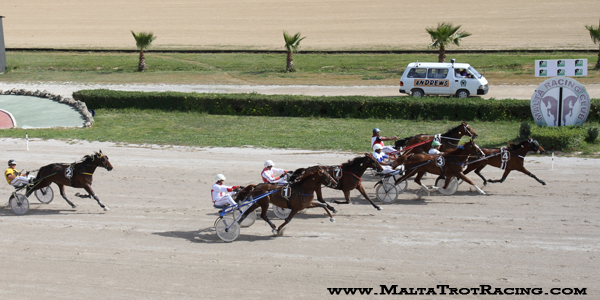 Race 7 confirmed result