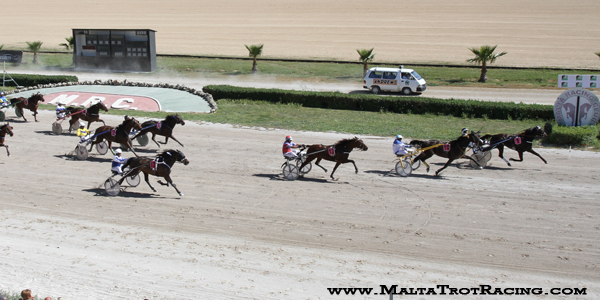 Race 5 confirmed result