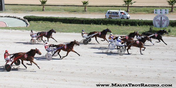 Race 8 confirmed result