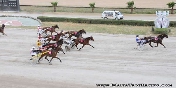 Race 5 confirmed result