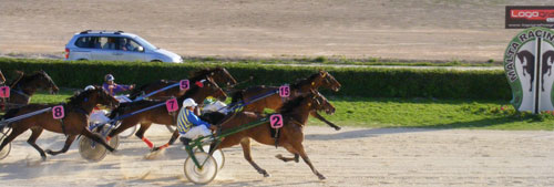 Race 5 confirmed result