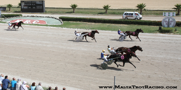 Race 5 confirmed result