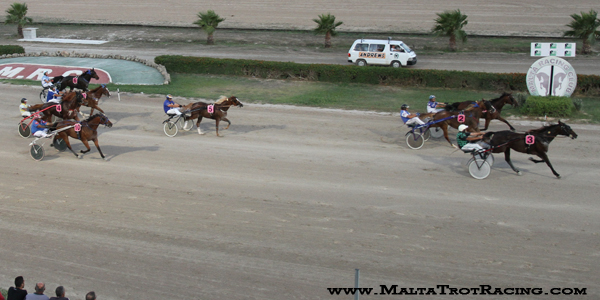 Race 5 confirmed result