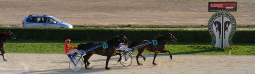 Race 6 confirmed result