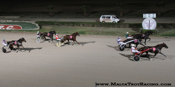 Race 5 confirmed result
