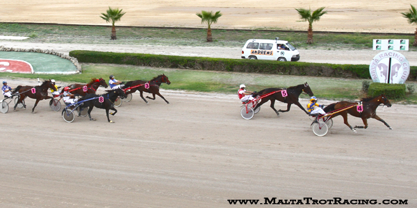 Race 5 confirmed result