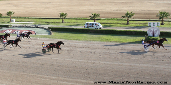 Race 5 confirmed result