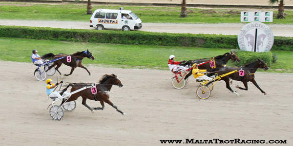 Race 5 confirmed result