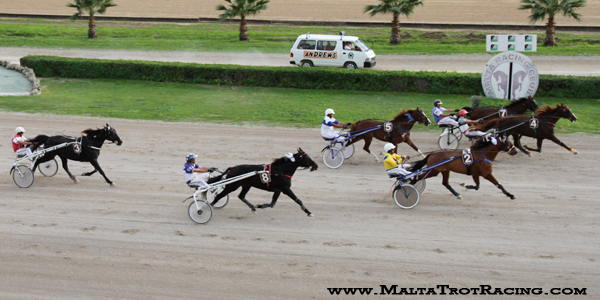 Race 7 confirmed result
