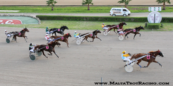 Race 5 confirmed result