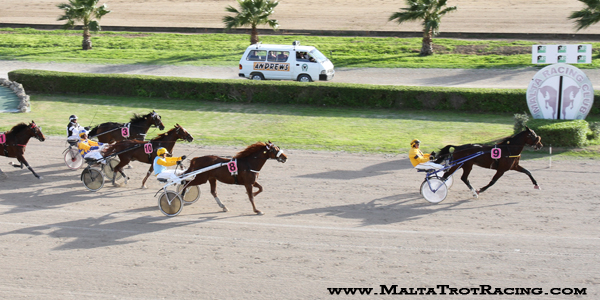 Race 5 confirmed result