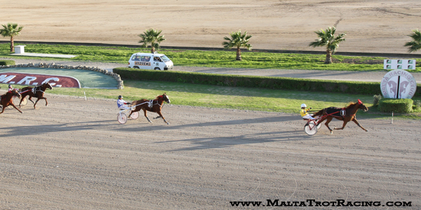 Race 7 confirmed result