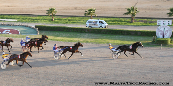 Race 8 confirmed result