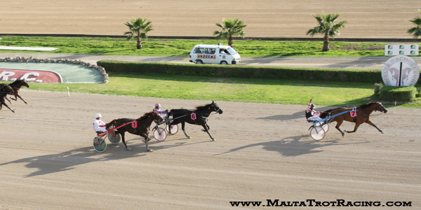 Race 5 confirmed result