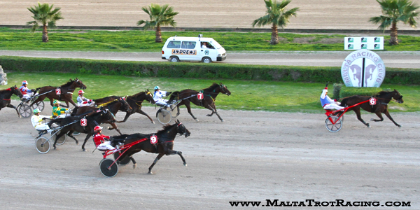 Race 8 confirmed result
