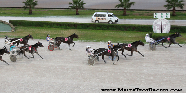 Race 5 confirmed result