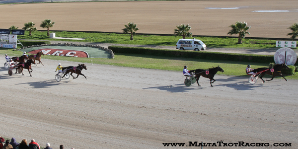 Race 5 confirmed result