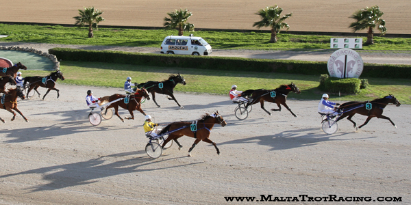 Race 6 confirmed result