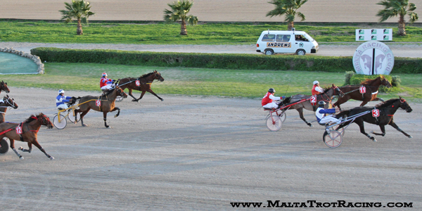 Race 8 confirmed result