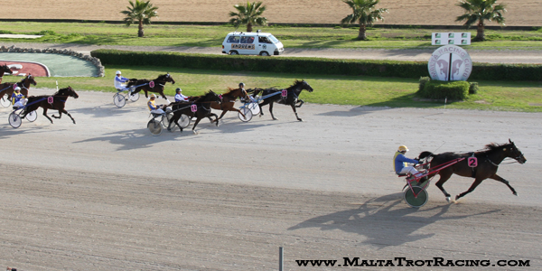 Race 5 confirmed result
