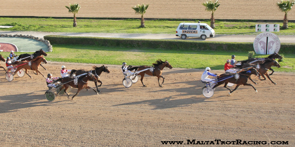 Race 7 confirmed result