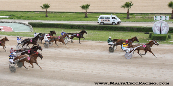 Race 5 confirmed result