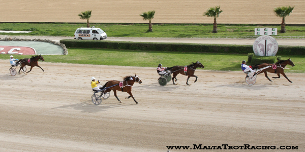 Race 5 confirmed result