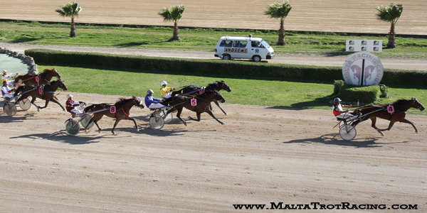 Race 5 confirmed result