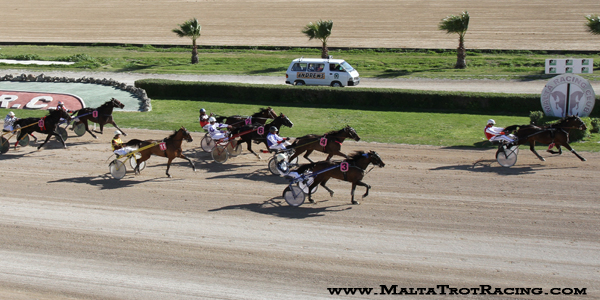 Race 5 confirmed result