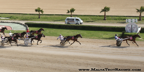Race 5 confirmed result